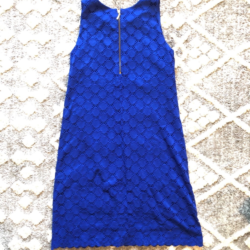 Ronni Nicole Royal Blue Lace Shift Dress - Picture 5 of 7